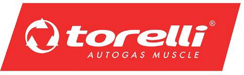 Програми для налаштування гбо Torelli